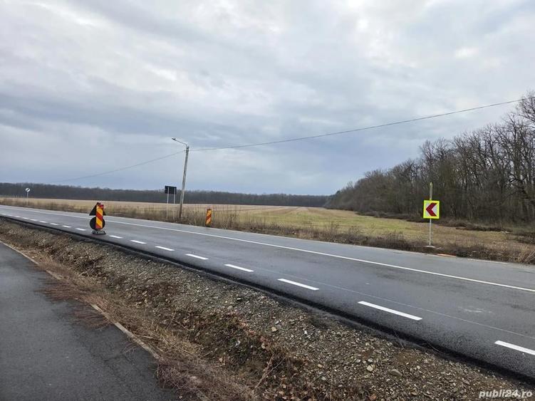 Teren 15000 mp intr. in Scrovistea langa Snagov - 4