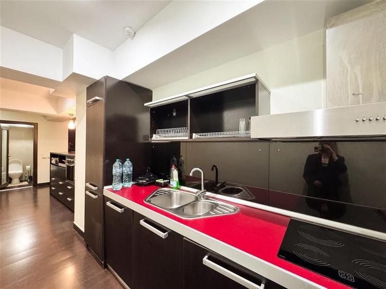 Apartament de inchiriat 2 camere Herastrau Complex Persepolis - 12