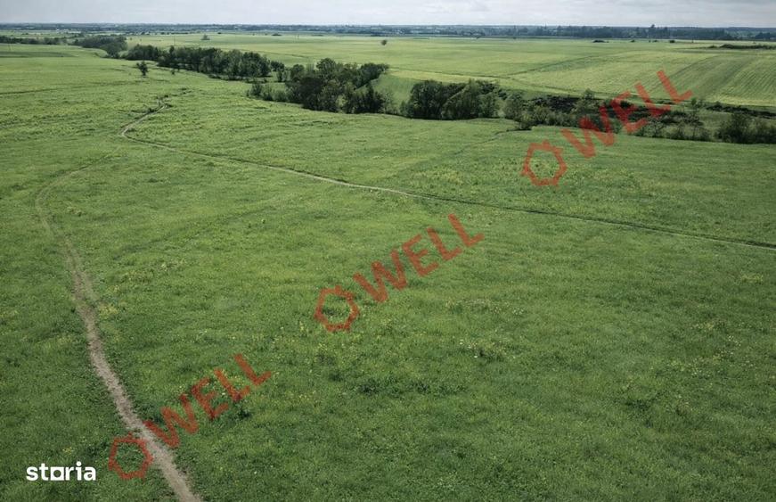 Teren extravilan de vanzare pe Dealul Bunica! - 3