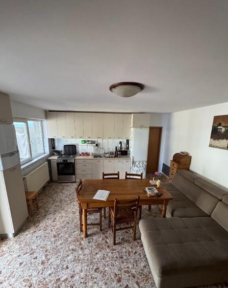 Vand vila in Roman zona buna - 3