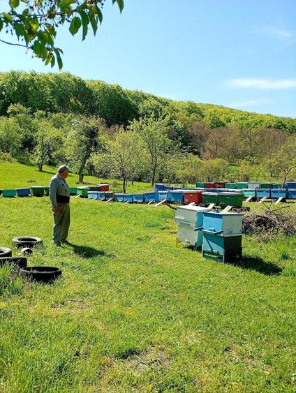 Casa de vanzare. - 2