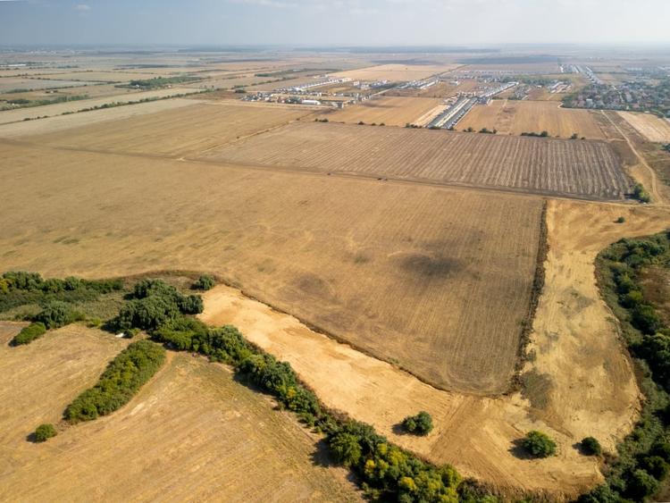 Teren dezvoltare in Tunari - 20