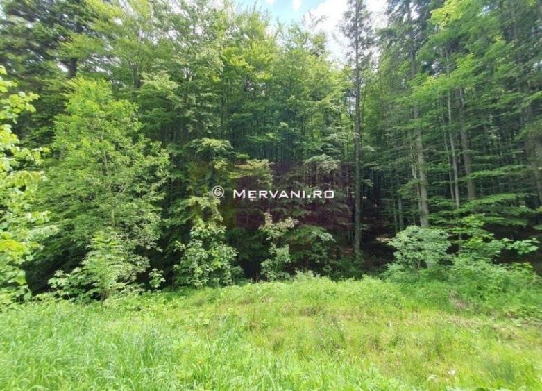 Teren intravilan de vanzare in Sinaia - Zona Furnica - 4