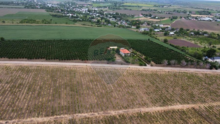 Casa - plantatie aluni  41300mp - 10