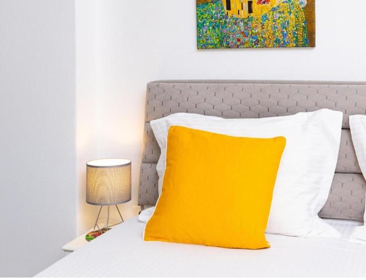 Ultracentral ap 2 camere  Airbnb investitie - 19