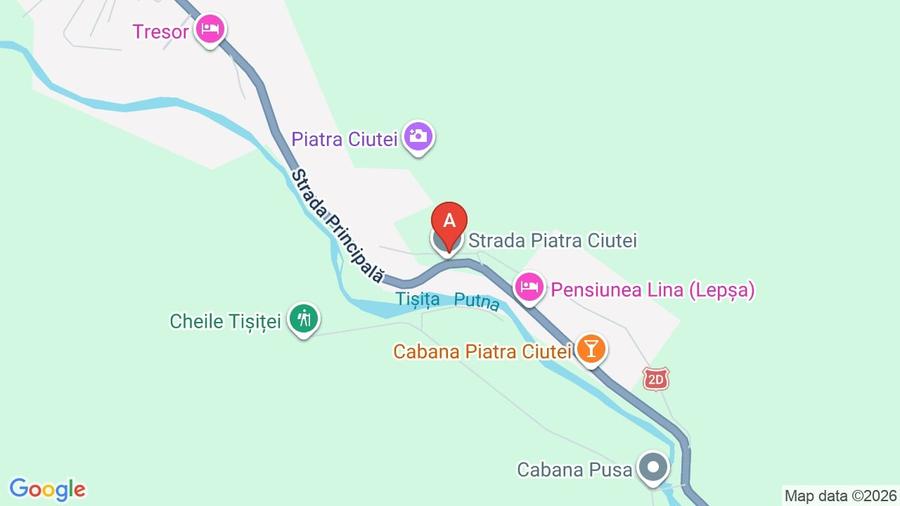 Teren de vânzare în Lepșa – ideal pentru pensiune sau casă de vacanță - 9