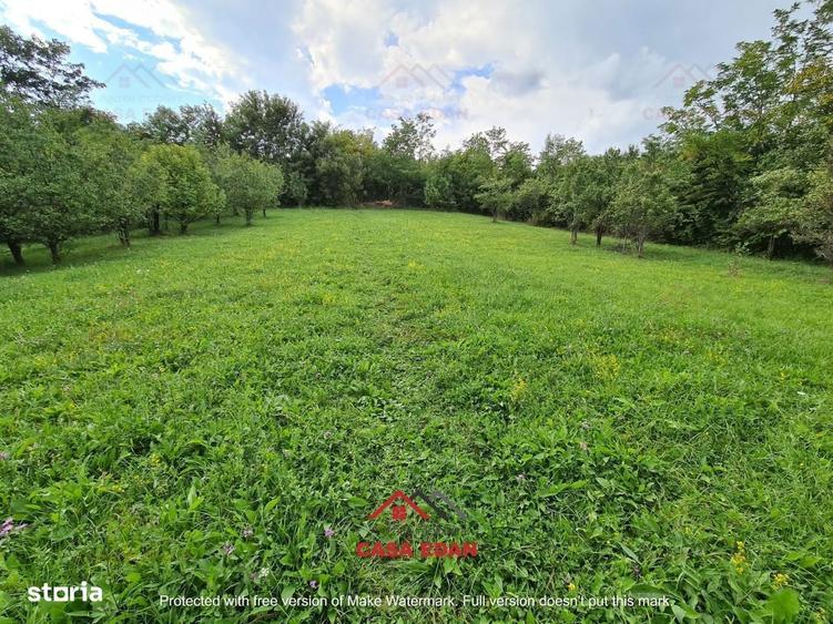 Teren intravilan in Poiana Campina zona retrasa 3287mp 10e - 2