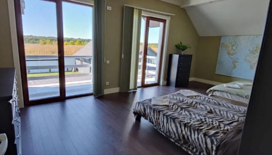 IZVORANI - 2 vile de lux, piscina, SPA - 10