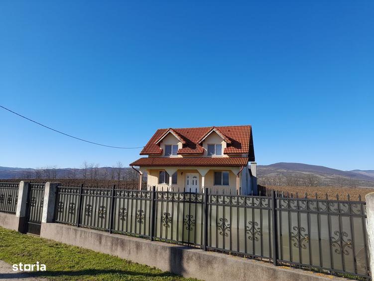 Casa-Aurel Vlaicu - 1