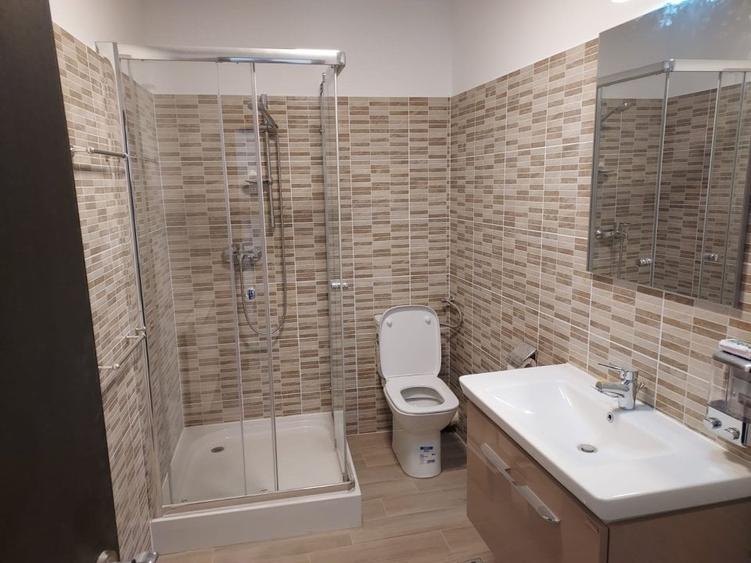 PIATA VICTORIEI-etaj 2 in VILA SUPERBA,130 MP LIFT,,TOTUL NOU,1700 EURO - 12