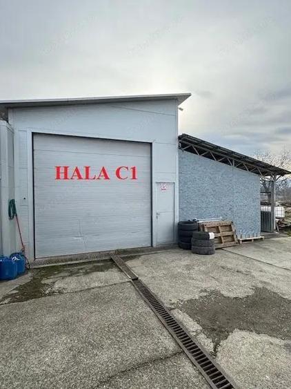 Hala 223 mp cu teren 600 mp, inchiriere/vanzare, Comanesti, jud. Bacau - 17