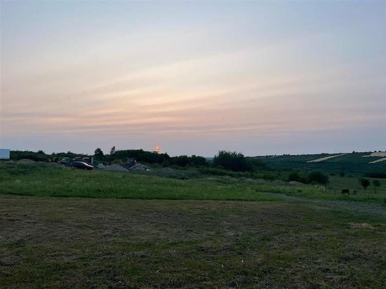 RECO Teren in Paleu 903 mp, acces rapid din Saldabagiu de Munte - 3