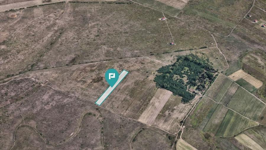 Teren extravilan de 10.000 mp - 5