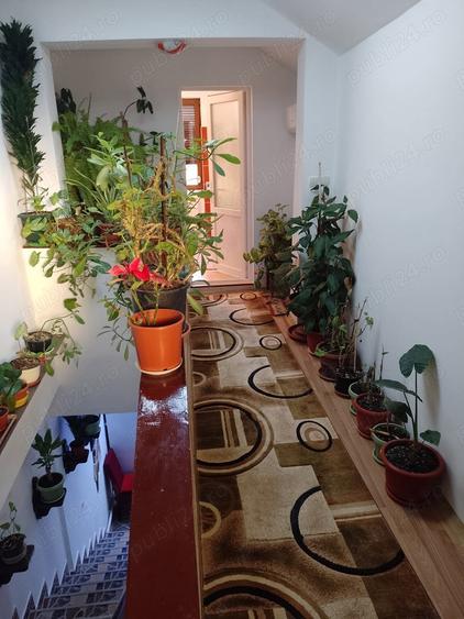 Inchiriez camera Timisoara - 6