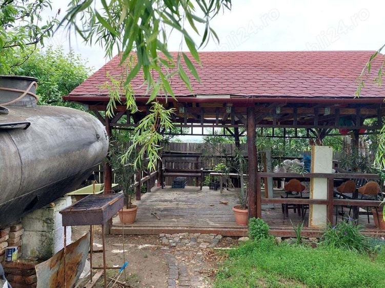 Vand casa mare cu livada, vie, gradina in Fratostita - 7