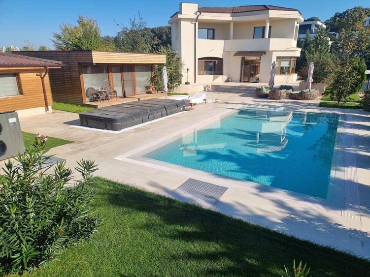 Snagov, vila individuala P+1, 6 camere, teren 2481 mp, - 1