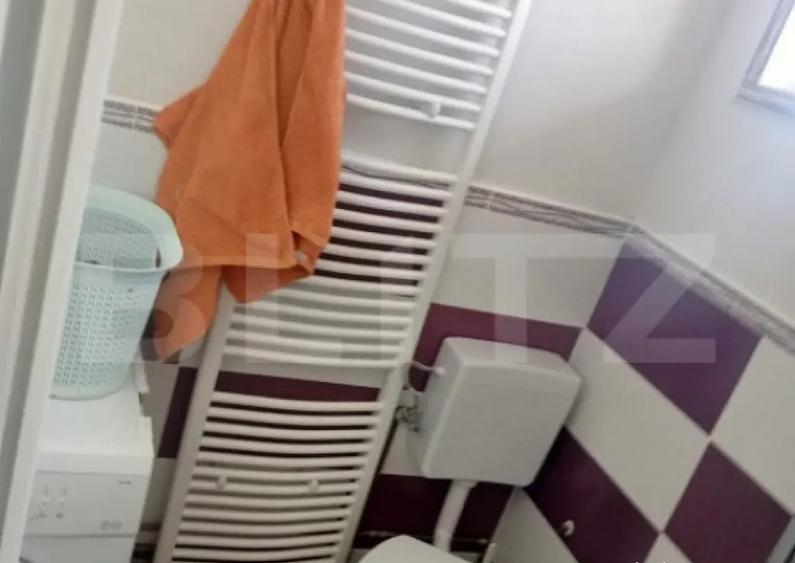 Casa spatioasa in Sanmihaiu de Campie - 7