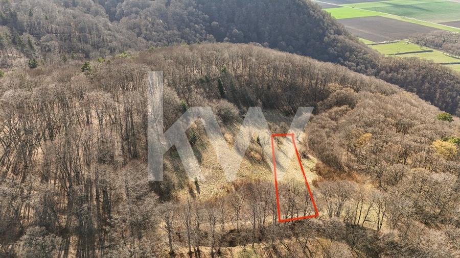 Cel mai mic pret din zona! Teren intravilan in zona Belvedere - 5