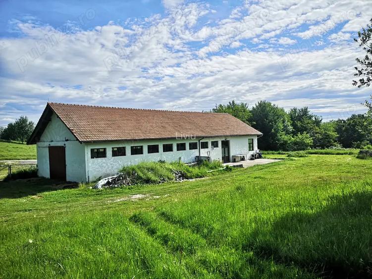 Hala Si teren 6 Ha pretabil agroturism, camping, drum asfaltat