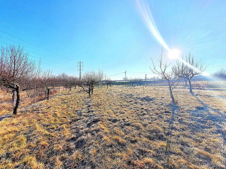 Descoperă Terenul Ideal: 390mp în Daia, Sibiu - 1