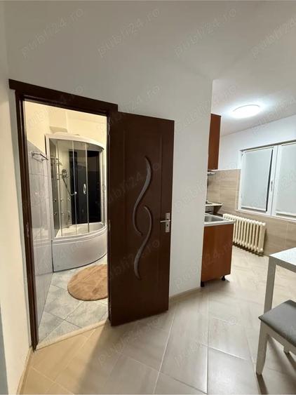 Inchiriere garsoniera Dristor - 9