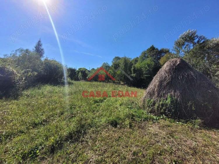 Teren intravilan in Poiana Campina 4285 mp parcelabil 11,6e - 10