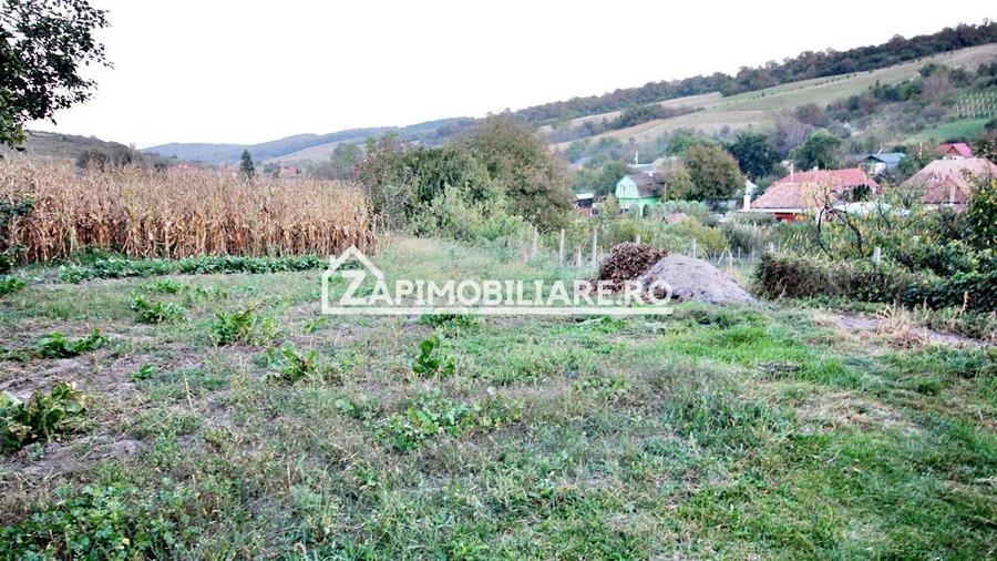 De vanzare 2 case cu 4.900 mp teren, Livezeni 0% comision - 9