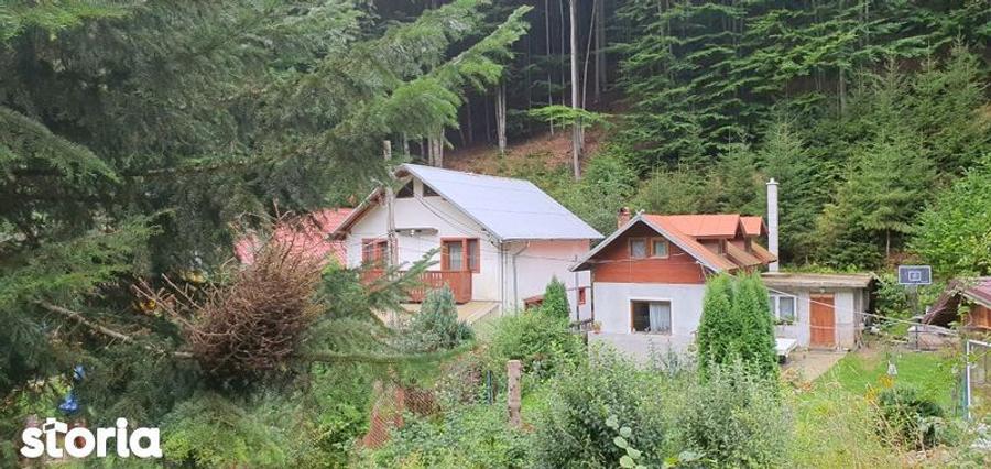 Casa de vanzare Cheia Prahova - 8