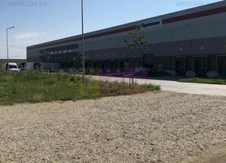 Teren Domnesti- Depozit Emag. - 1