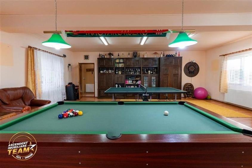 FILM&3D! Doua case cu:piscina,foisor,arbori decorativi,1.700mp teren,Lutoasa,Cov - 49