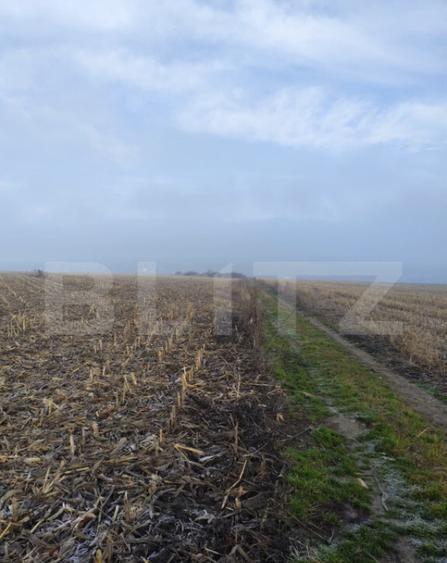 Teren 7200 mp extravilan, Miroslava-Vorovesti, langa zona d - 2