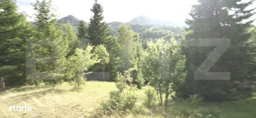 Teren intravilan de top Colibita | 16.945 mp | Panorama munti si l - 2