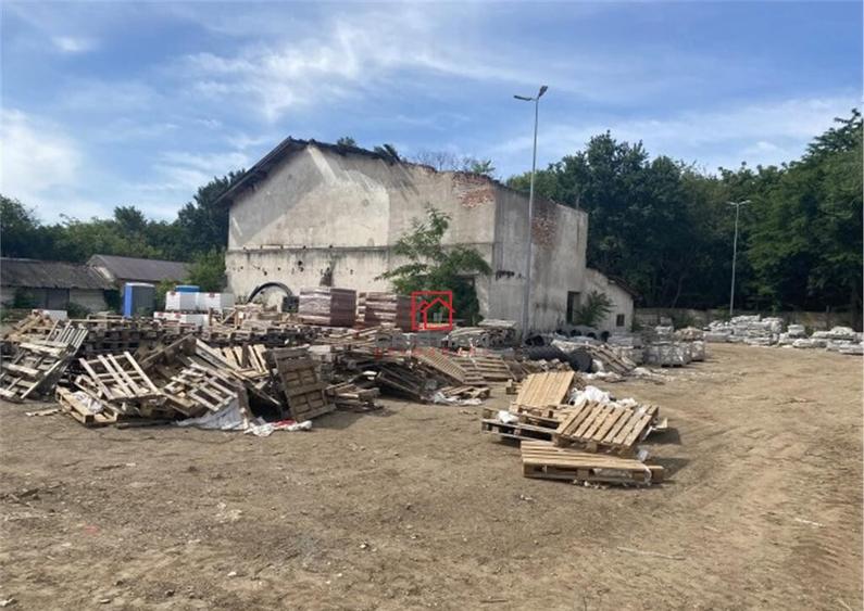 Teren Alexandria - Centura, TELEORMAN - 7