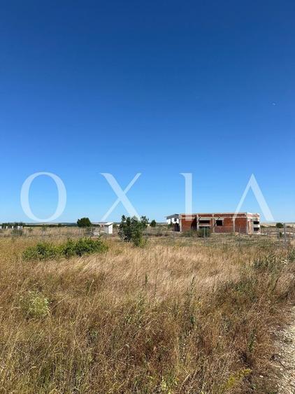 OX662 Casa pe un singur nivel, in Pischia - 5