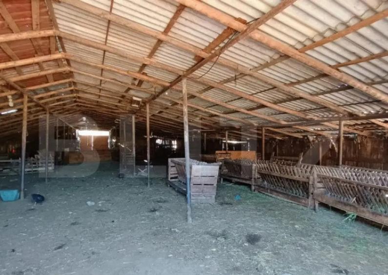 Stana 17.000 mp, Boldesti-Scaeni. - 2