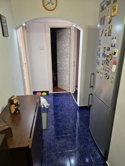 2 camere decomandate zona Nicolina-Frumoasa - 3