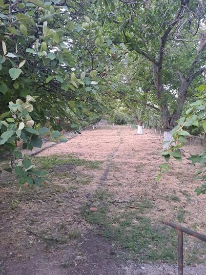 Casa de vanzare, frumoasa ?i cocheta - 2