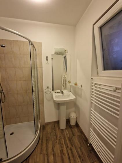 Giroc - Spatiu Comercial - 40 Mp - Cheltuieli Incluse - 4