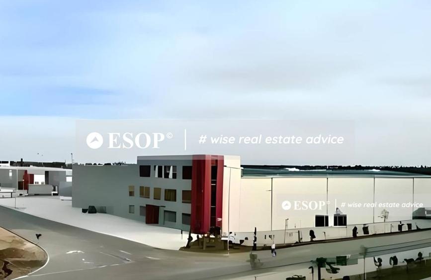 Vanzare hale logistice, zona Chitila, Rudeni, DNCB- ID 15426.4 - 3