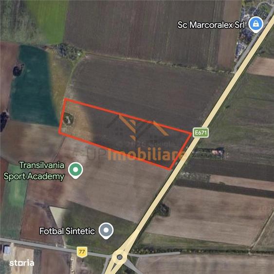 Teren Intravilan 24457 Mp | 80 Ml Front Stradal | Oradea | Bihor - 5