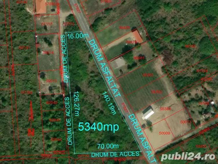 Teren intravilan 5340 mp triplu frontstradal cu asfalt intravilan Paleu - 8