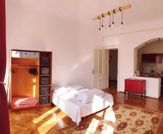 Inchiriez apartament 1 camera ultracentral - 2