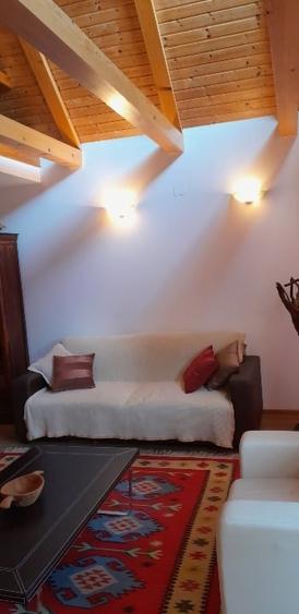 Vilă unică în Centrul Sucevei - 10