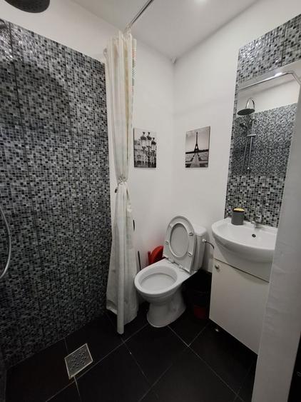 Garsoniera de inchiriat zona 1 Decembrie 1918 - 6