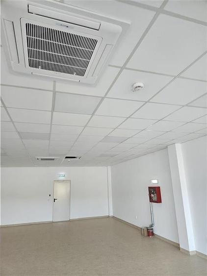 Spatiu Industrial - 5000 mp - Logistica - Productie - Depozitare - Distributie - 8