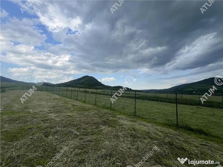 Teren intravilan de 3477 mp cu deschidere de 35 m in Boita - 3