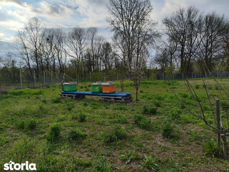 Casa si depozit materiale constructii( 35 km de Bucuresti) - 5