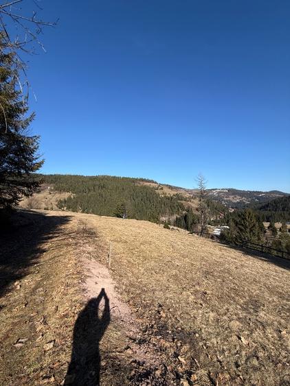 Teren de vânzare intravilan în Arieșeni (Alba) - 8