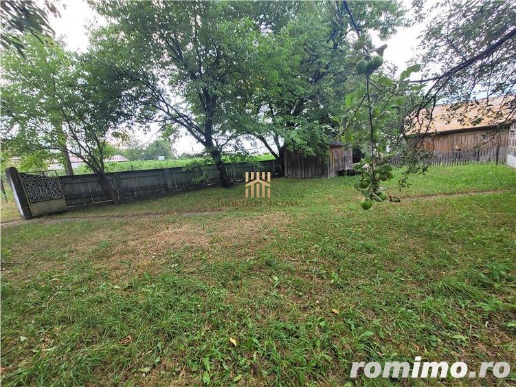 Casa Orheienilor! - 11