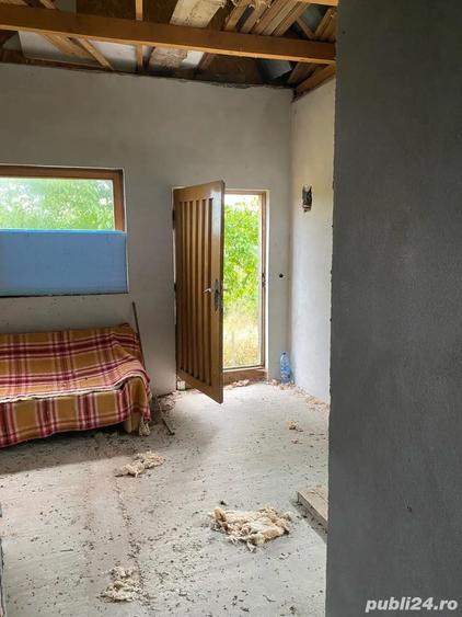 casa de vacanta 60km de Timisoara - 2